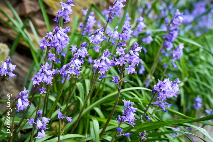 风光摄影 · 岛屿细节 — Jackson Jiang